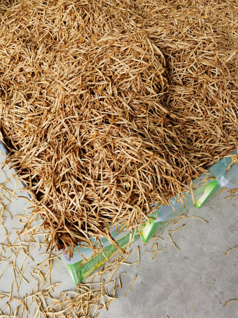 【黄花菜】大荔原品黄花菜袋装箱装都有产地直发量大从