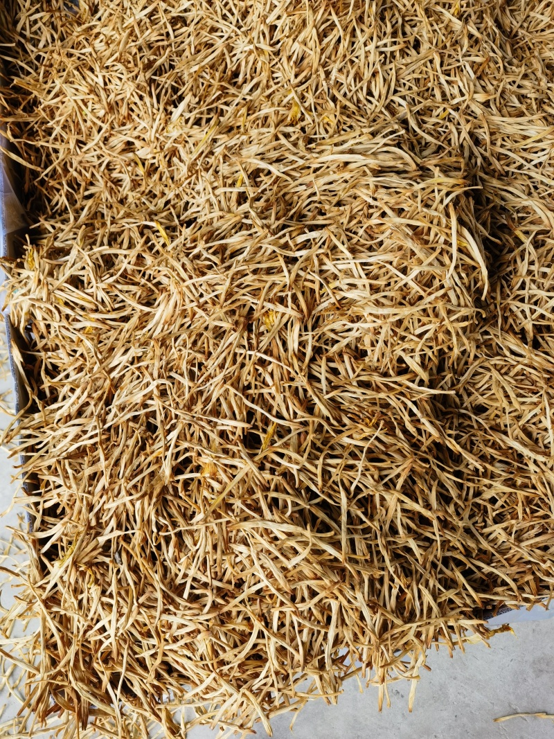 【黄花菜】大荔原品黄花菜袋装箱装都有产地直发量大从