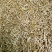 【放心购买】精品黄花菜一斤袋装，超市**，量大从优。