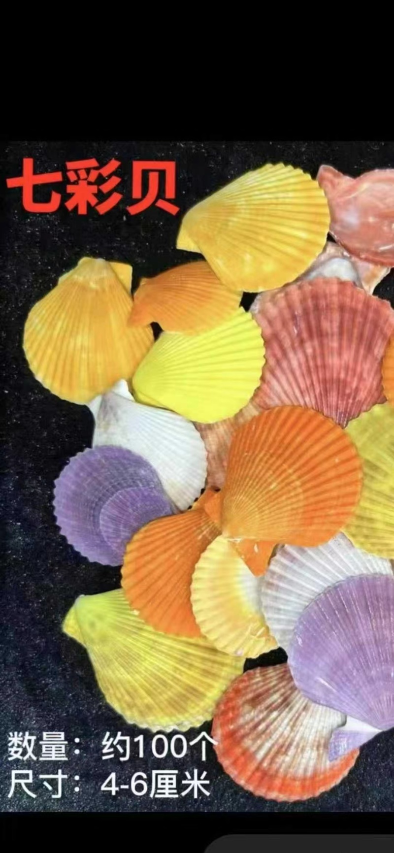 ️️网红发光寄居蟹套盒网红发光寄居蟹套盒