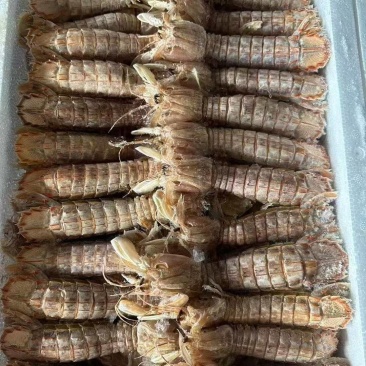 皮皮虾一箱4斤