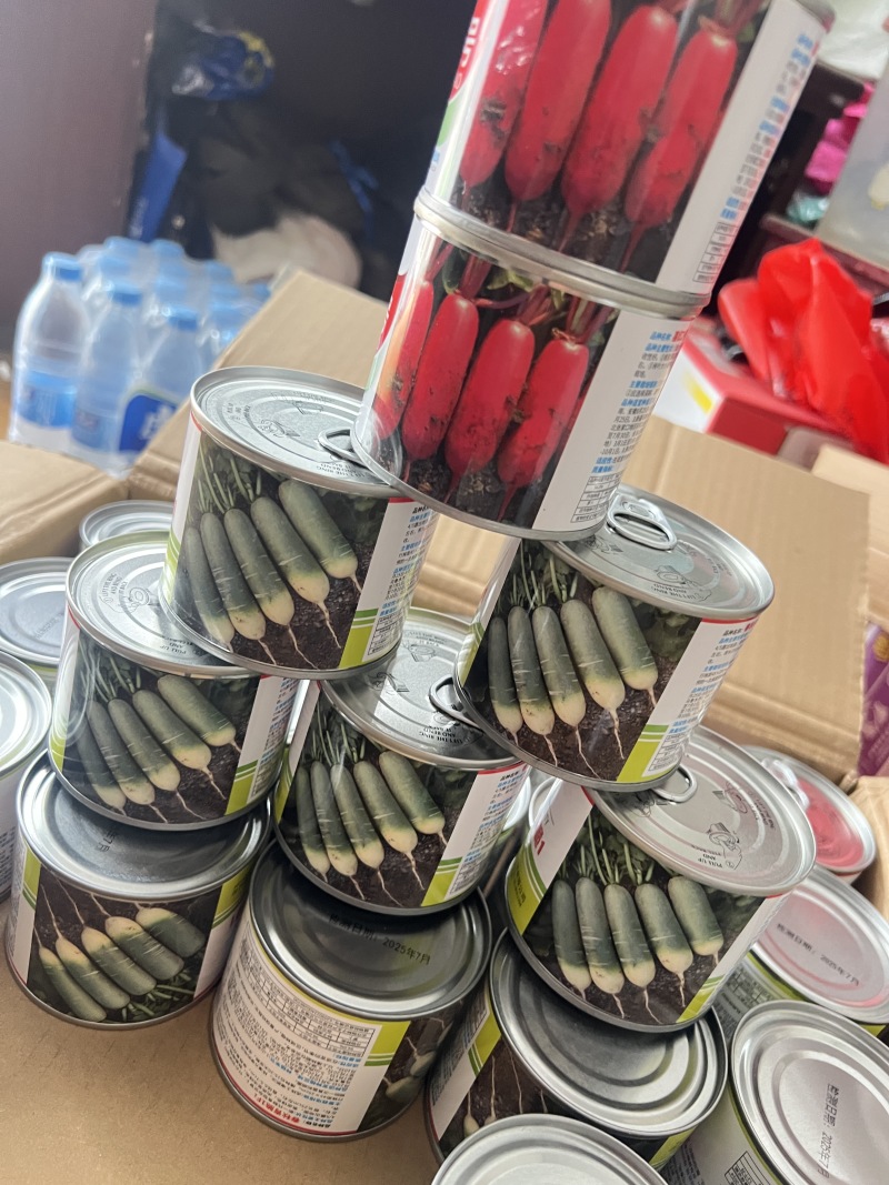 水果萝卜种子春秋青脆1号，厂家直发，品质保证，诚信经营