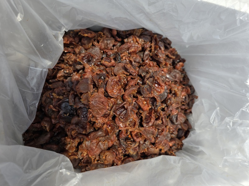 新货荔枝肉荔枝干肉广西荔枝干肉口感软糯香甜
