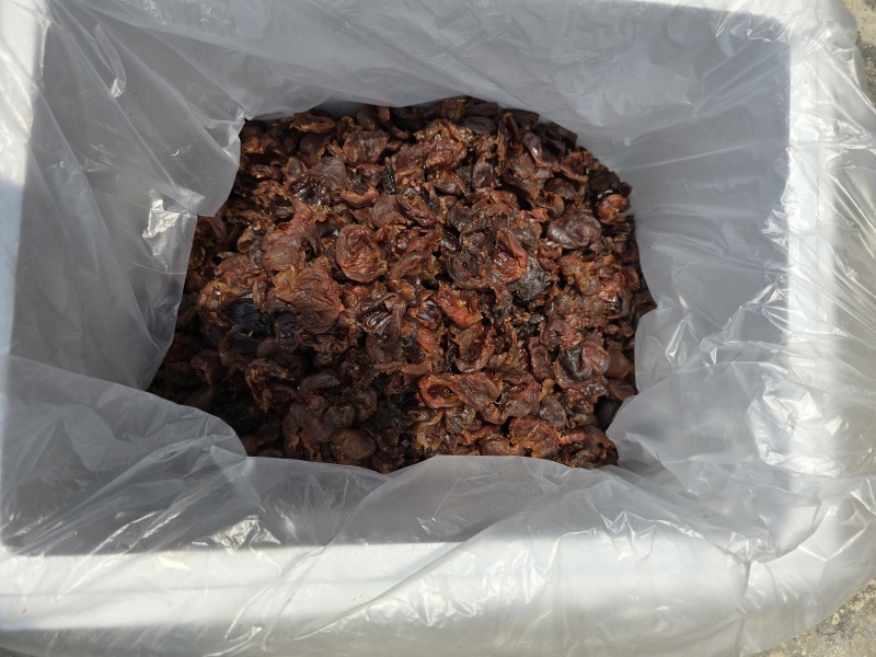 新货荔枝肉荔枝干肉广西荔枝干肉口感软糯香甜