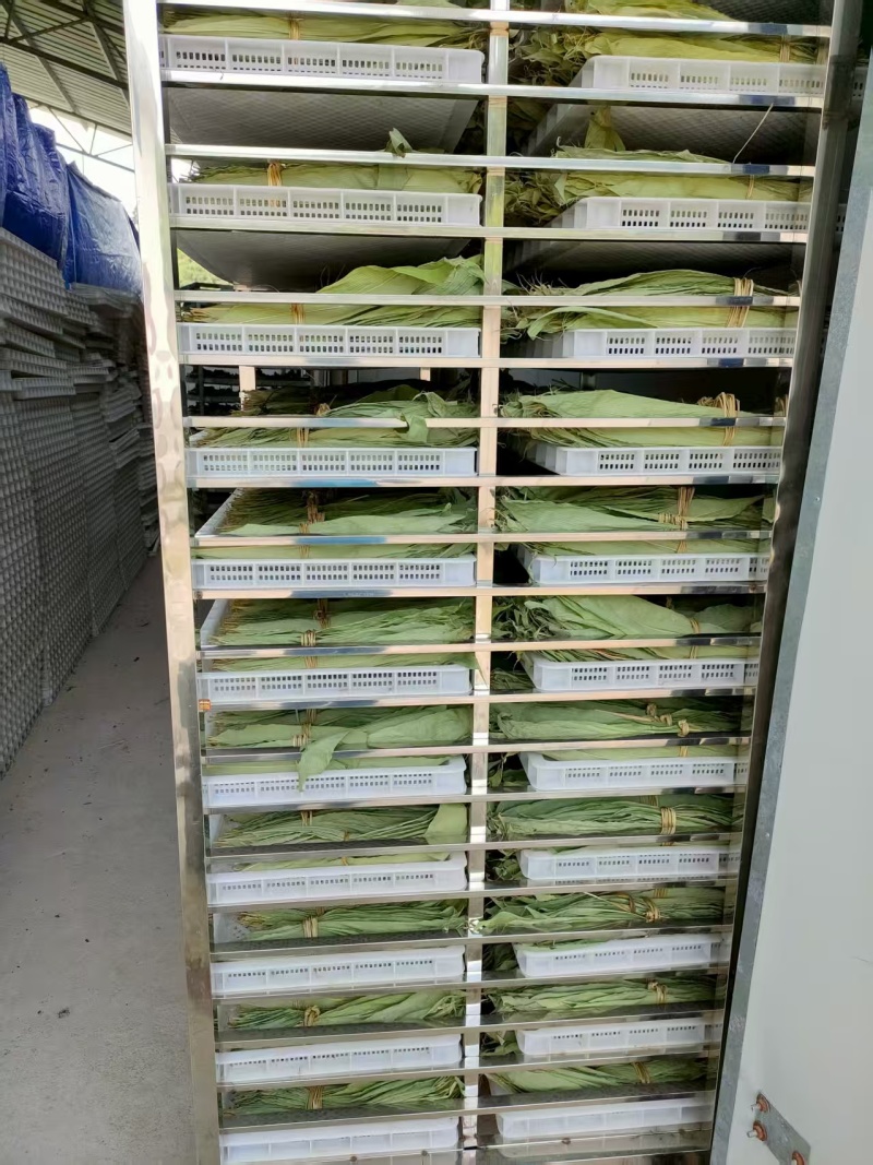 贵州粽叶两面青干粽叶
