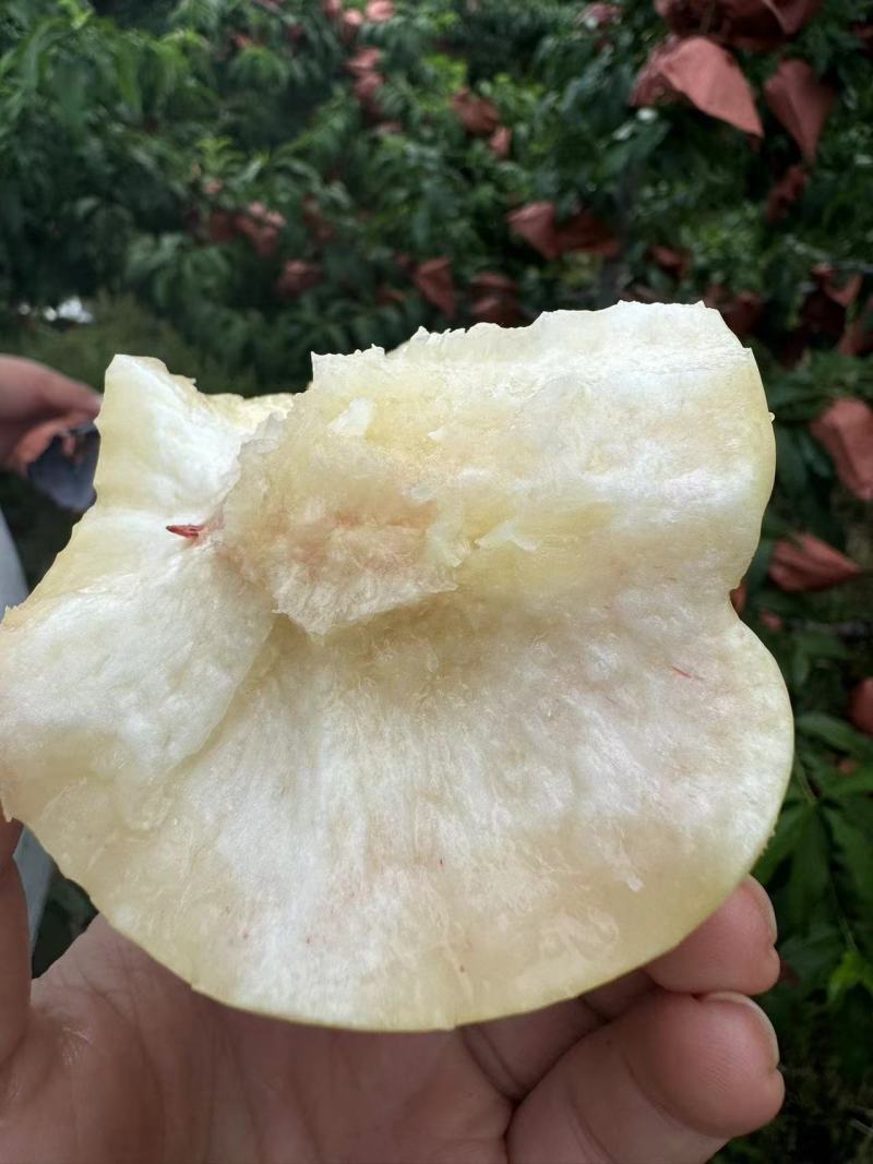 奶油白油桃，果肉嫩脆甜