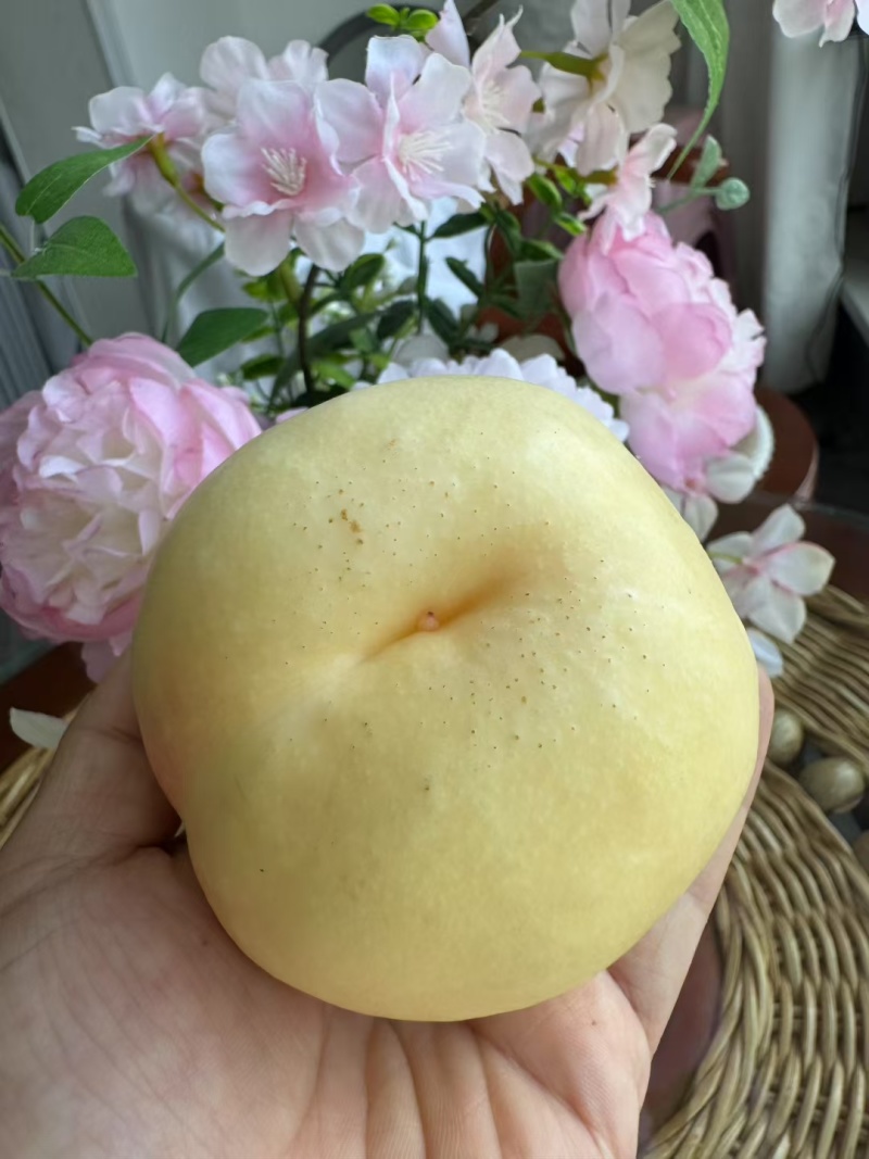 奶油白油桃，果肉嫩脆甜