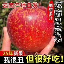 正宗云南昭通红露丑苹果产地现摘现发脆甜多汁新鲜水果整箱包