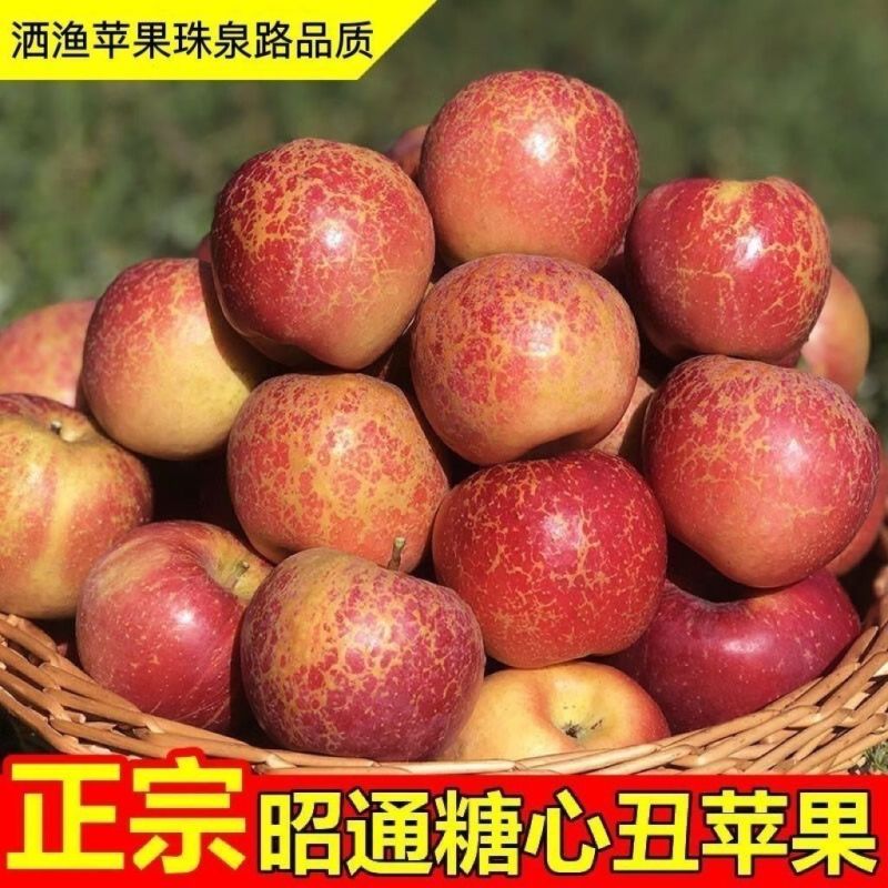 正宗云南昭通红露丑苹果产地现摘现发脆甜多汁新鲜水果整箱包