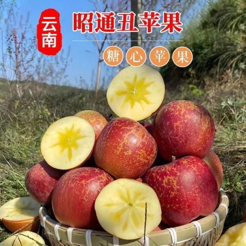 正宗云南昭通红露丑苹果产地现摘现发脆甜多汁新鲜水果整箱包
