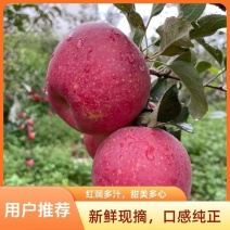 正宗云南昭通红露丑苹果产地现摘现发脆甜多汁新鲜整箱包邮