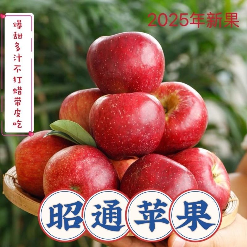 正宗云南昭通红露丑苹果产地现摘现发脆甜多汁新鲜整箱包邮