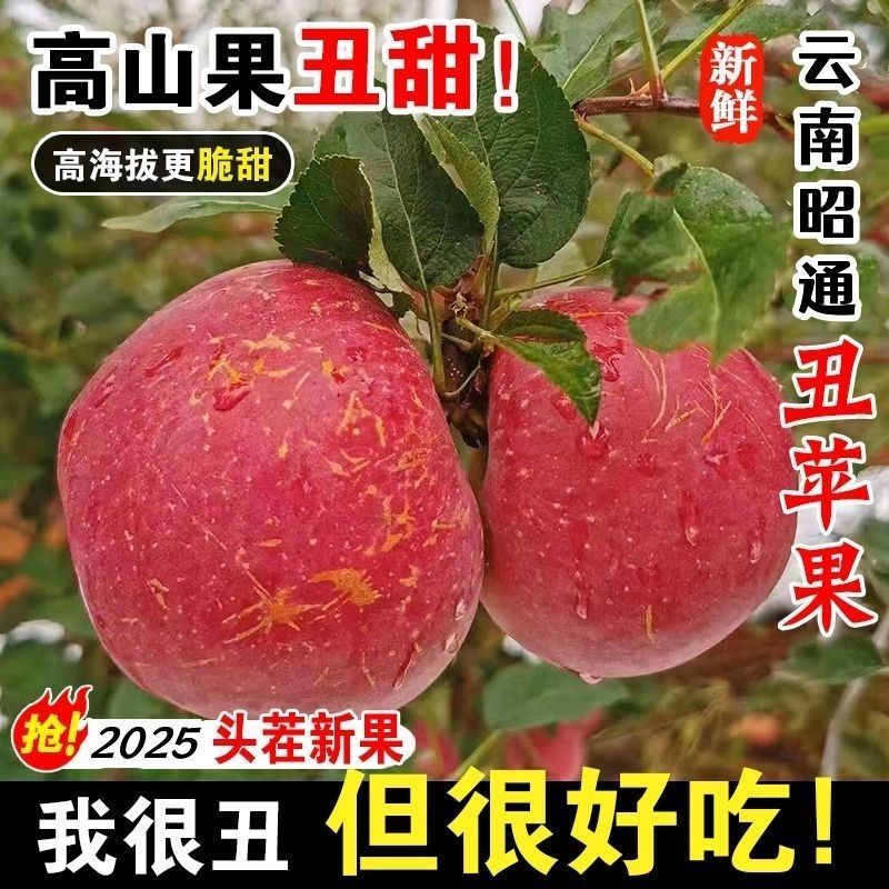 正宗云南昭通红露丑苹果产地现摘现发脆甜多汁新鲜整箱包邮