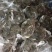 盘锦河蟹，产地直发。各种规格，可供应电商酒店自助餐。