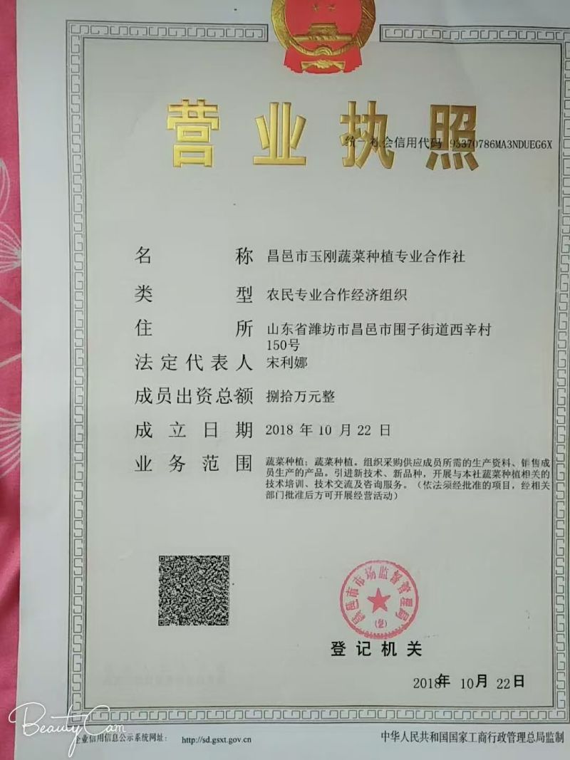 昌邑市富硒大梨枣，种植基地，产地直供，货源充足，品质保证