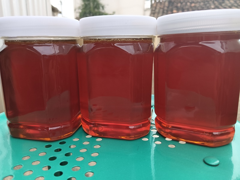 大山深处药用苦蜂蜜