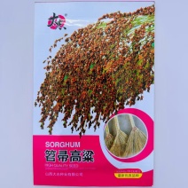 扫帚高粱种子笤帚春夏季酿酒食家庭扫地扫把扫地扫帚