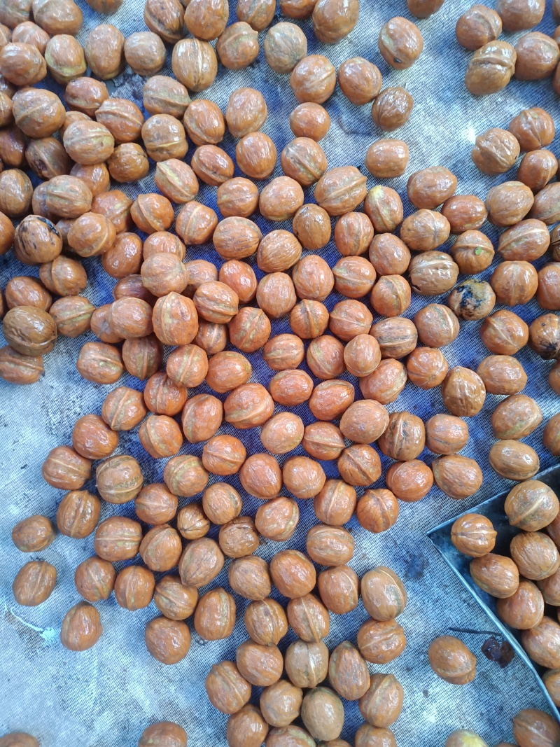 新鲜核桃