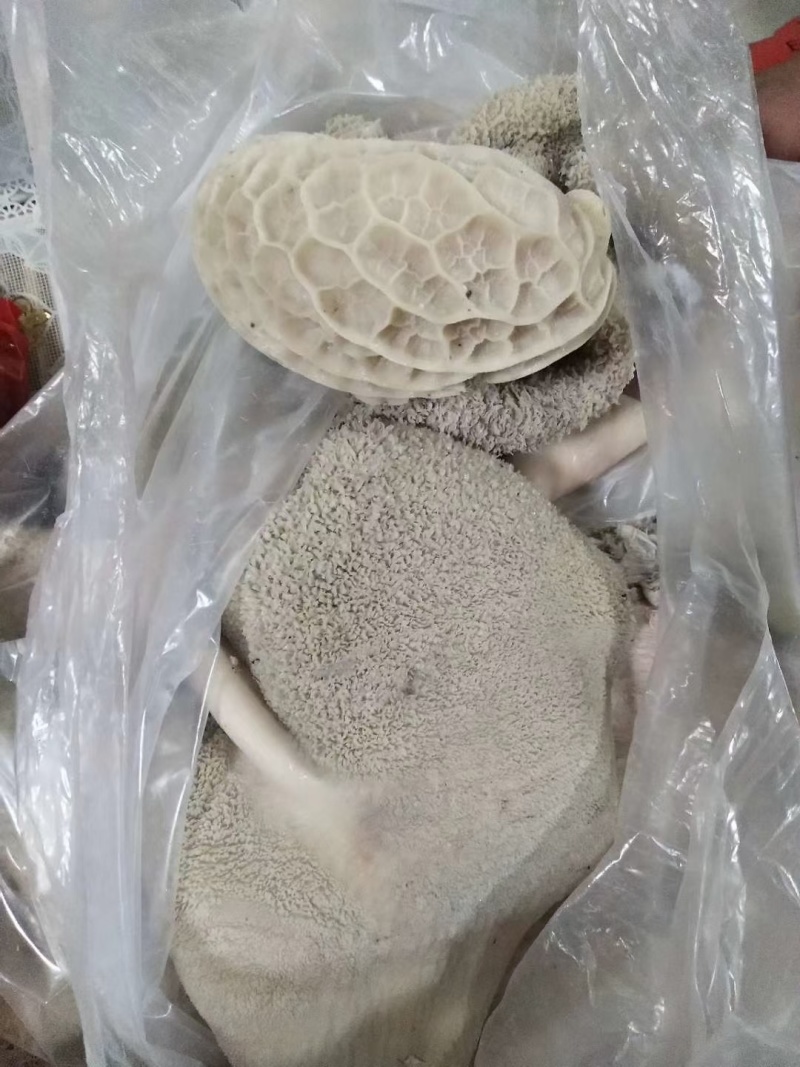 【熟牛杂】熟牛大肚