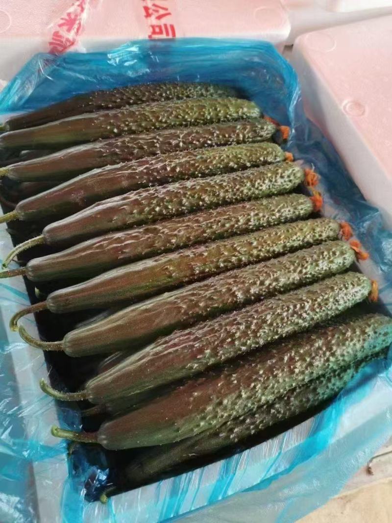 黄瓜
