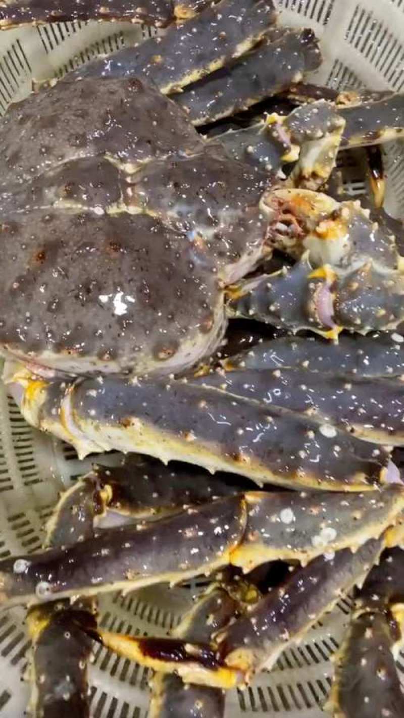 帝王蟹，皇帝蟹（鲜冻）