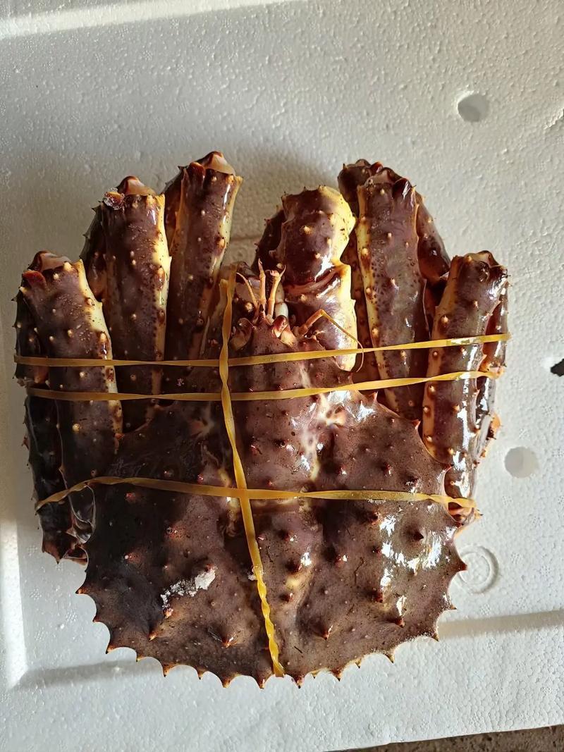 帝王蟹，皇帝蟹（鲜冻）