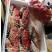 帝王蟹，皇帝蟹（鲜冻）