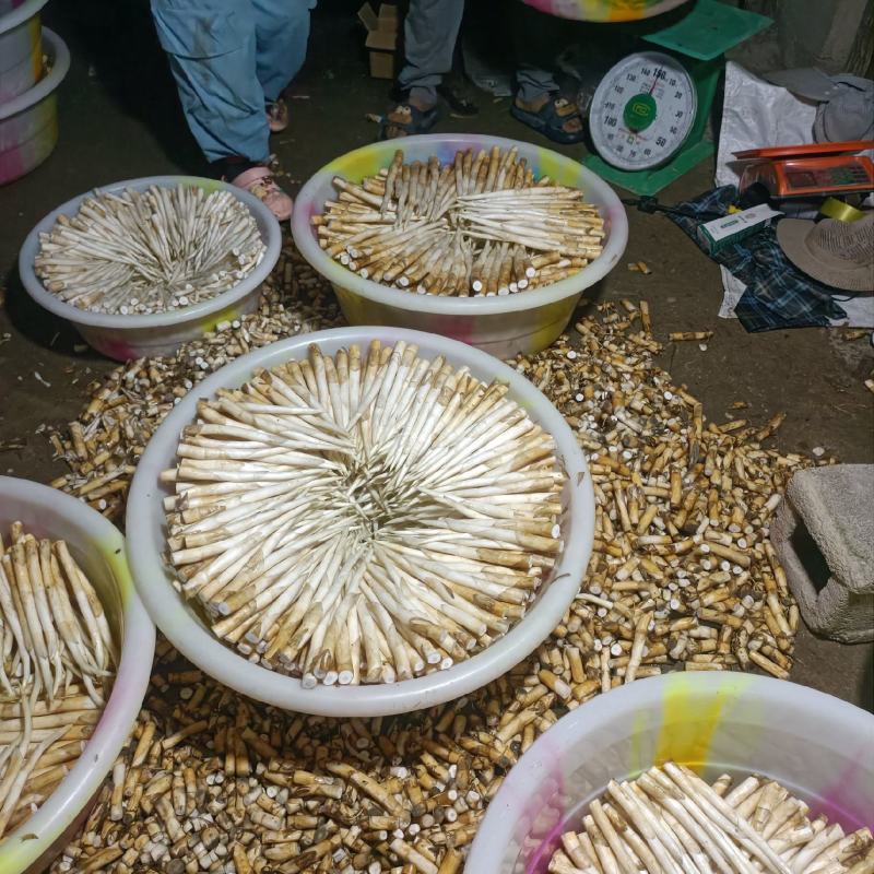 象牙菜