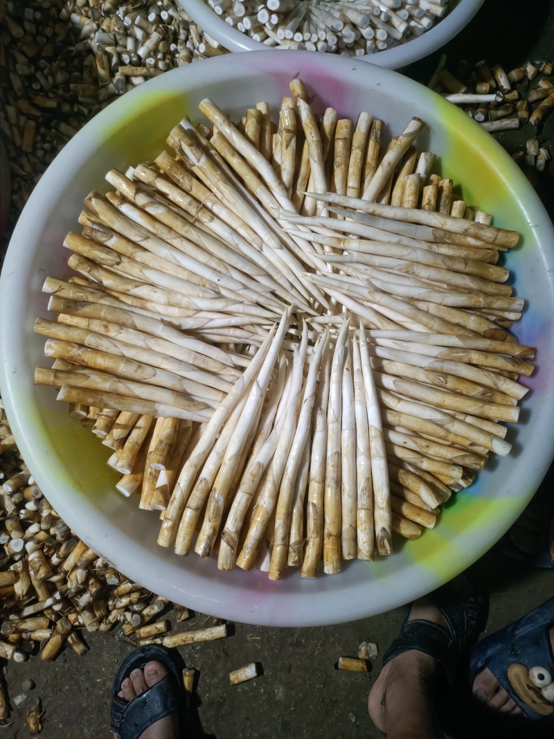 象牙菜