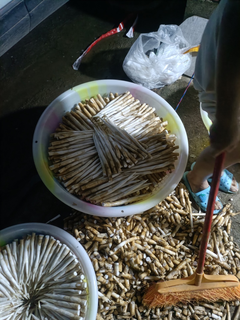 象牙菜