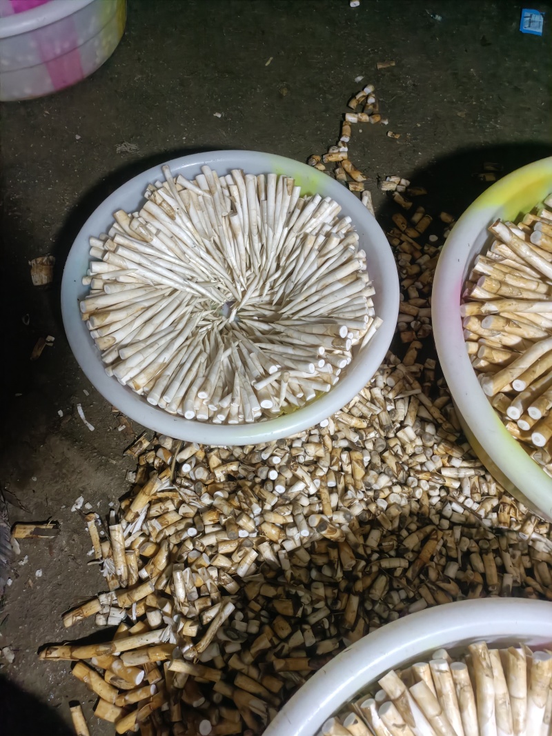 象牙菜