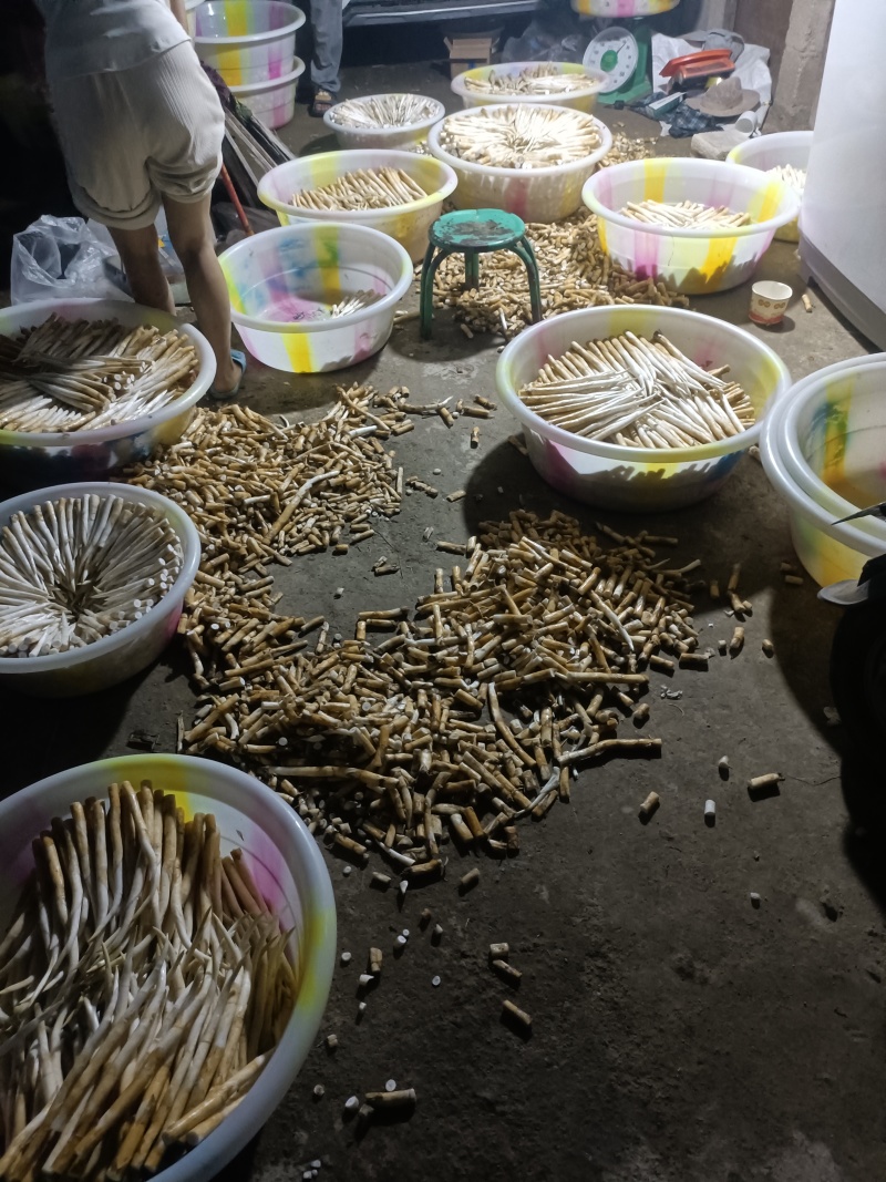 象牙菜