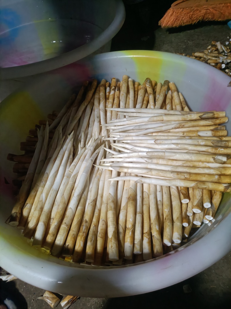 象牙菜