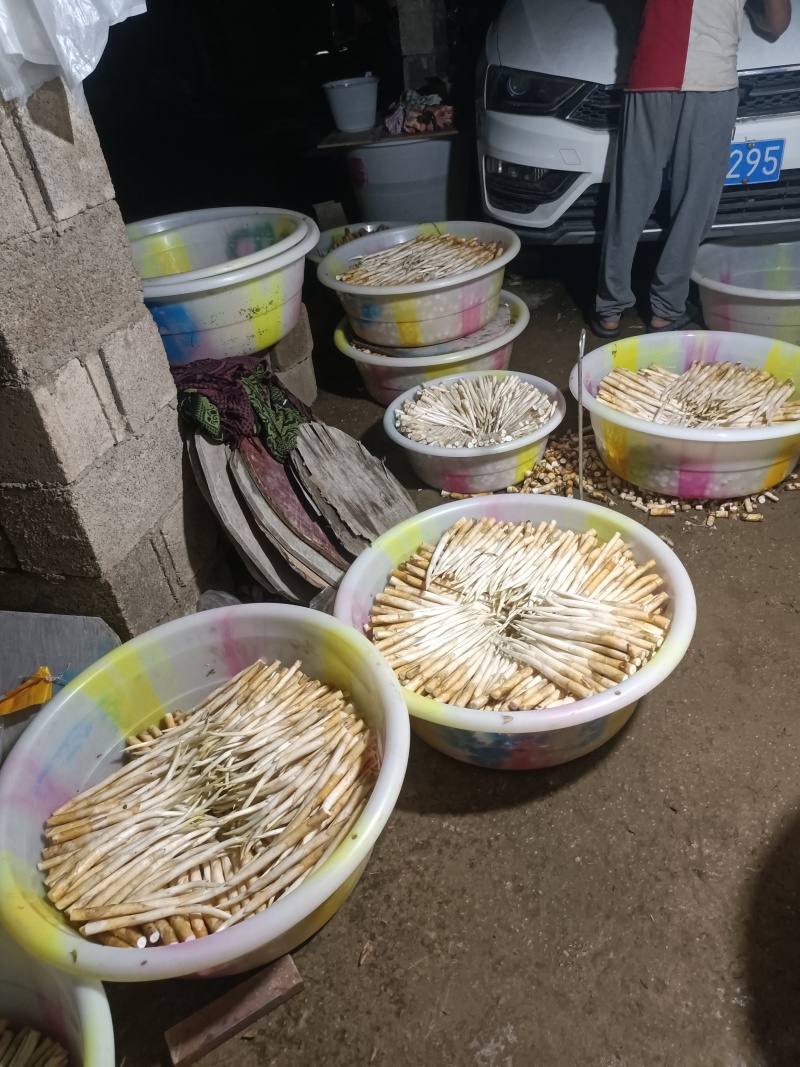 象牙菜