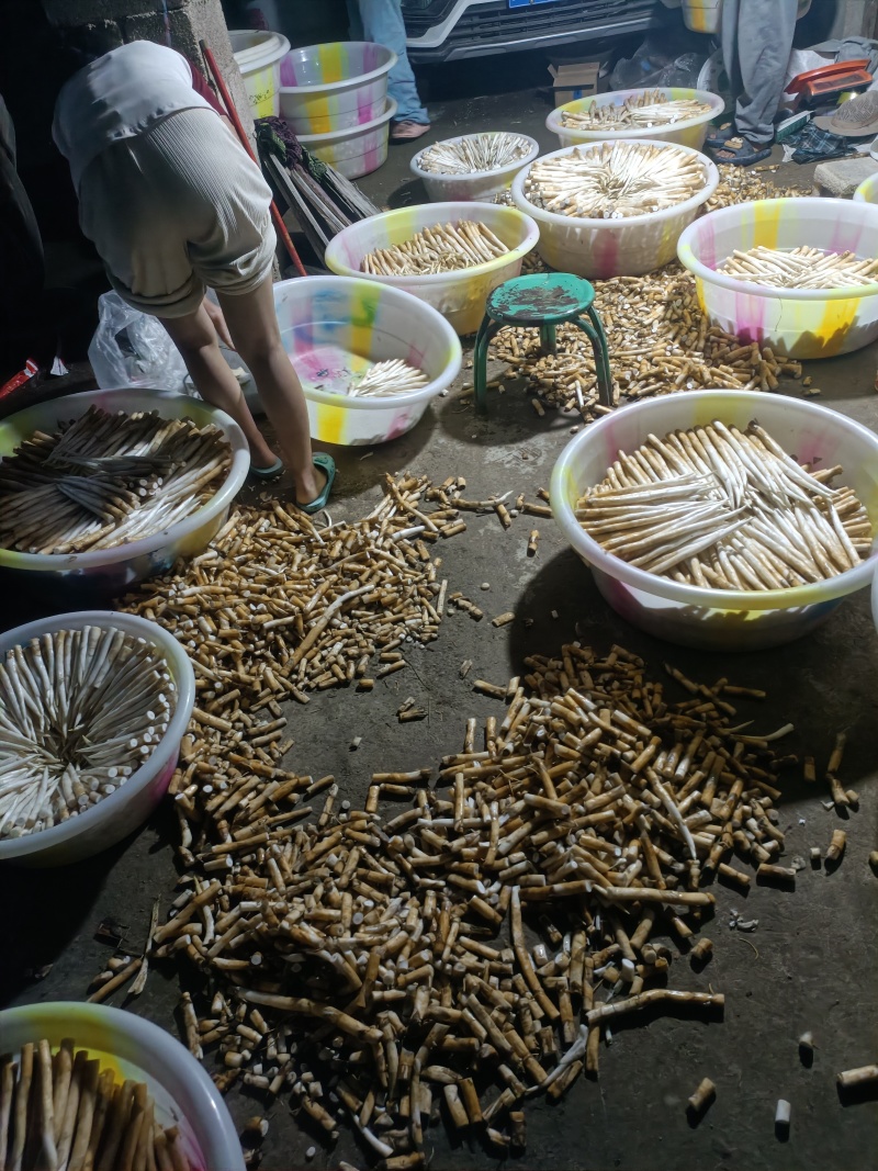象牙菜