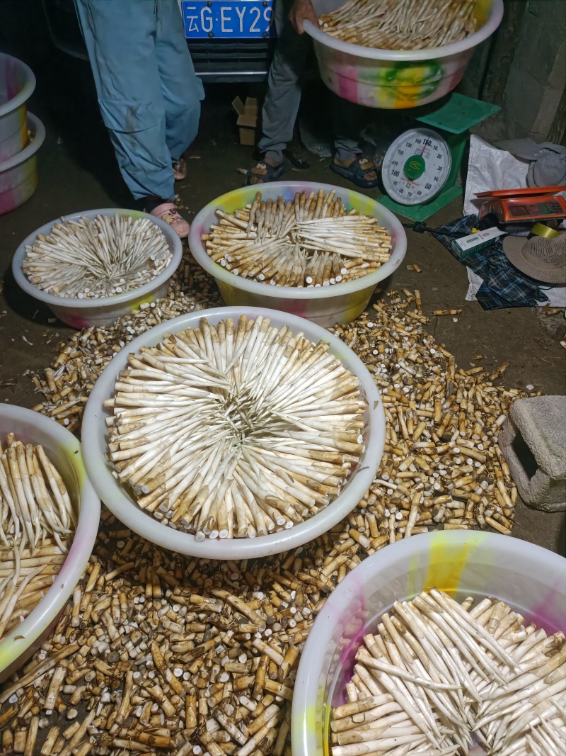 象牙菜