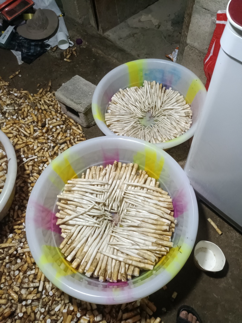 象牙菜