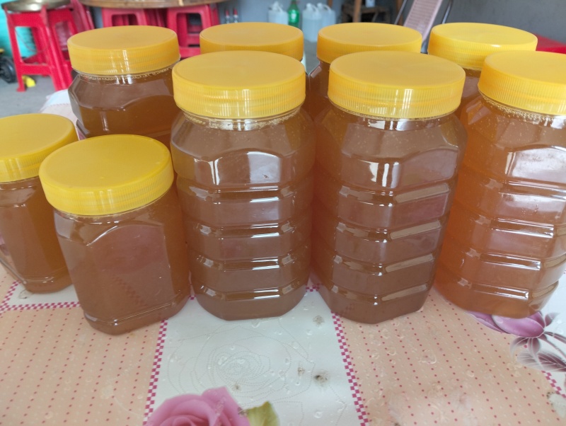 高山上自家土蜂蜜百花蜜