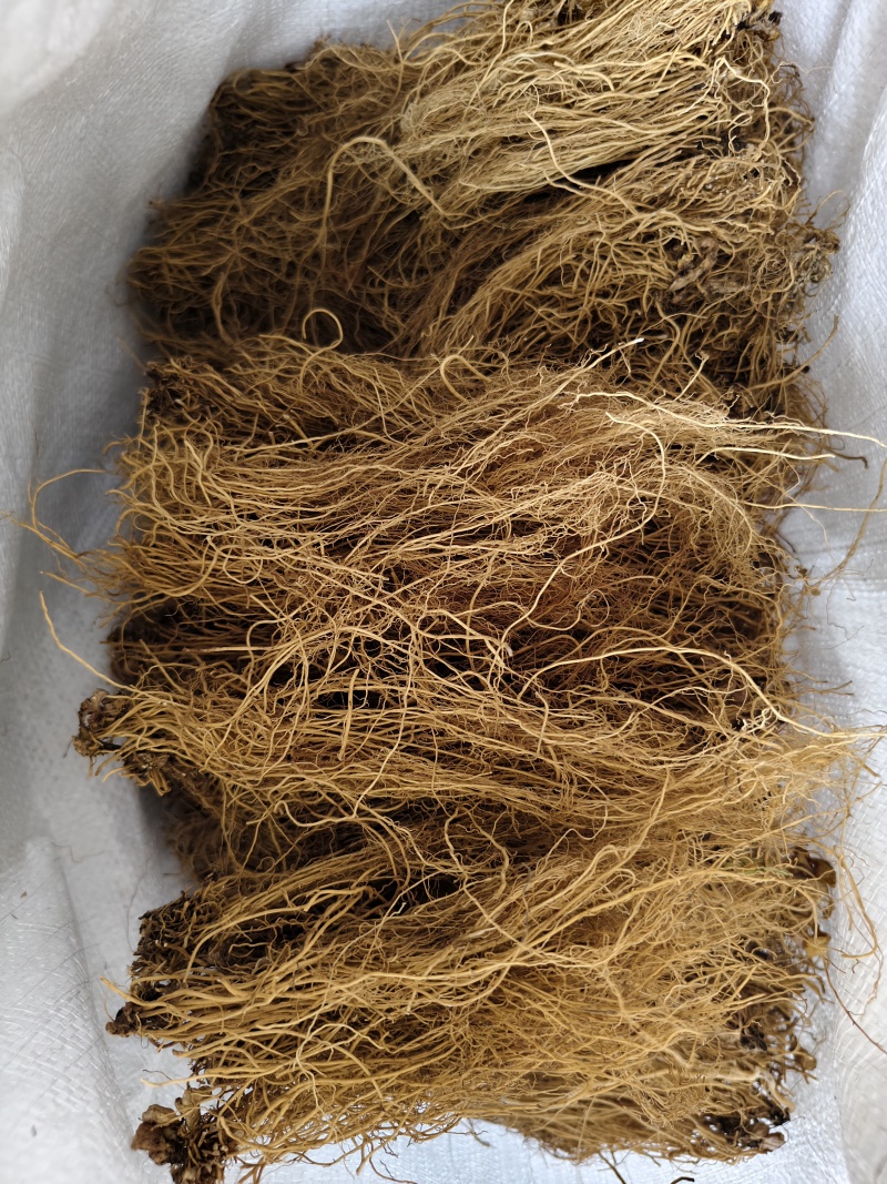 细辛辽细辛各种规格批发零售量大优惠