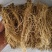 细辛辽细辛各种规格批发零售量大优惠