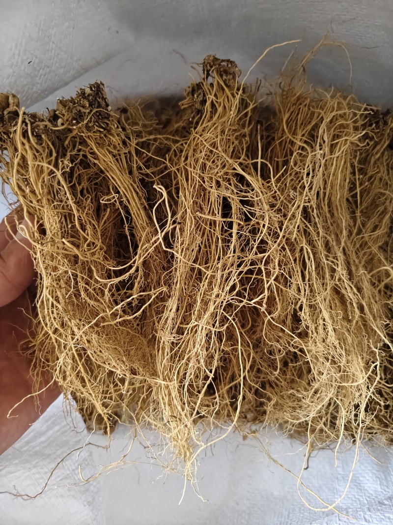 细辛辽细辛各种规格批发零售量大优惠