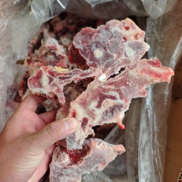 羊蝎子