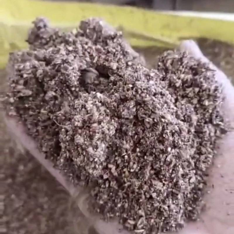枣粉