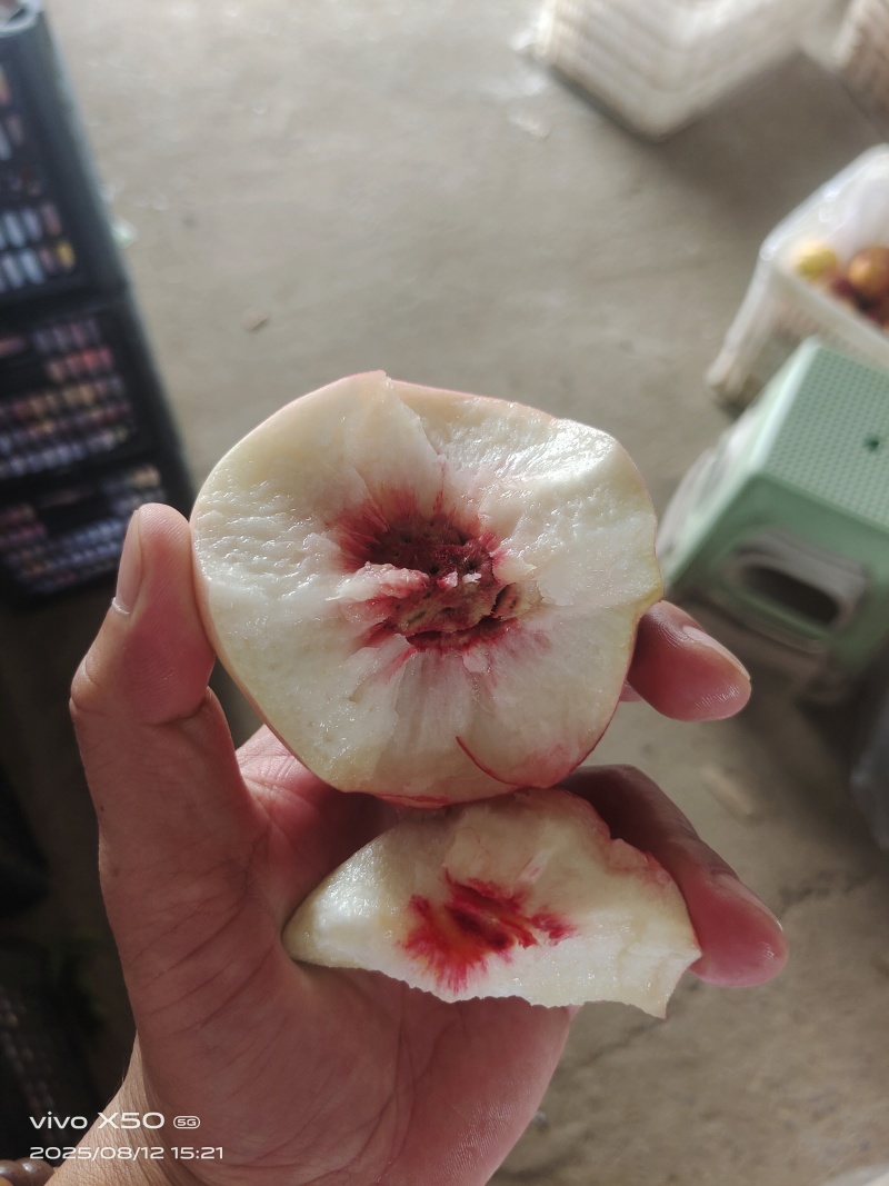 秋彤离合毛桃大量有货，供应电商走市场需要的私聊