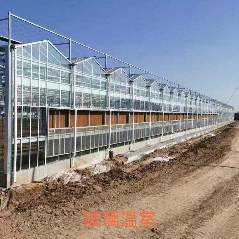 专业温室大棚材料养殖大棚种植大棚大棚骨架大棚材料温室大棚
