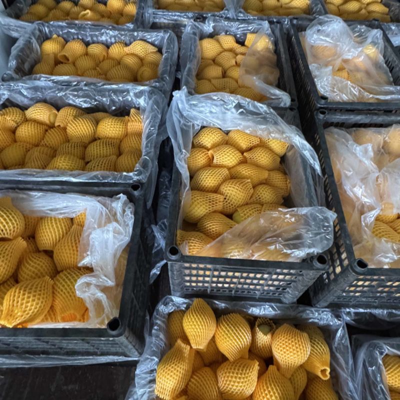 晚熟锦绣黄桃