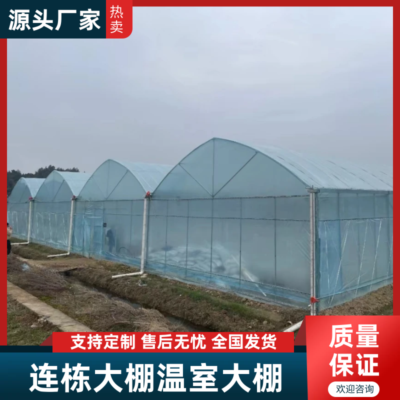 专业温室大棚材料养殖大棚种植大棚大棚骨架大棚材料温室大棚