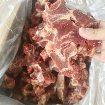 牛脖骨