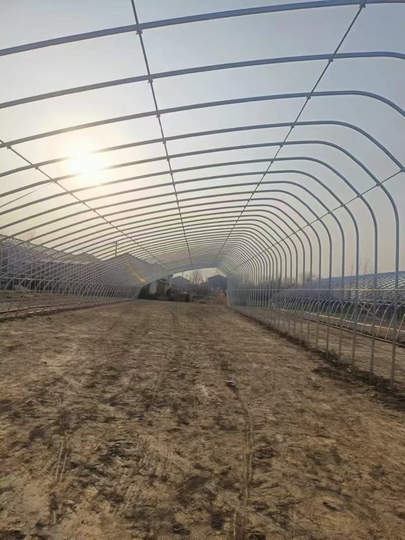 专业温室大棚材料养殖大棚种植大棚大棚骨架大棚材料温室大棚