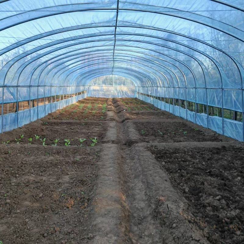 专业温室大棚材料养殖大棚种植大棚大棚骨架大棚材料温室大棚